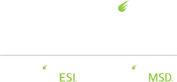 Noblis logo, Noblis ESI logo and Noblis MSD logo stacked, no taglines